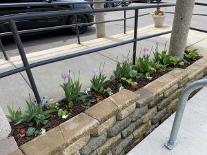 DPPS Flower Garden May 15