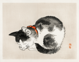 Sleeping Cat print