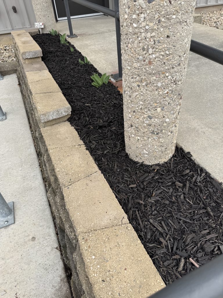 Flower Garden at DPPS