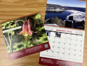 2026 DPPS calendars image