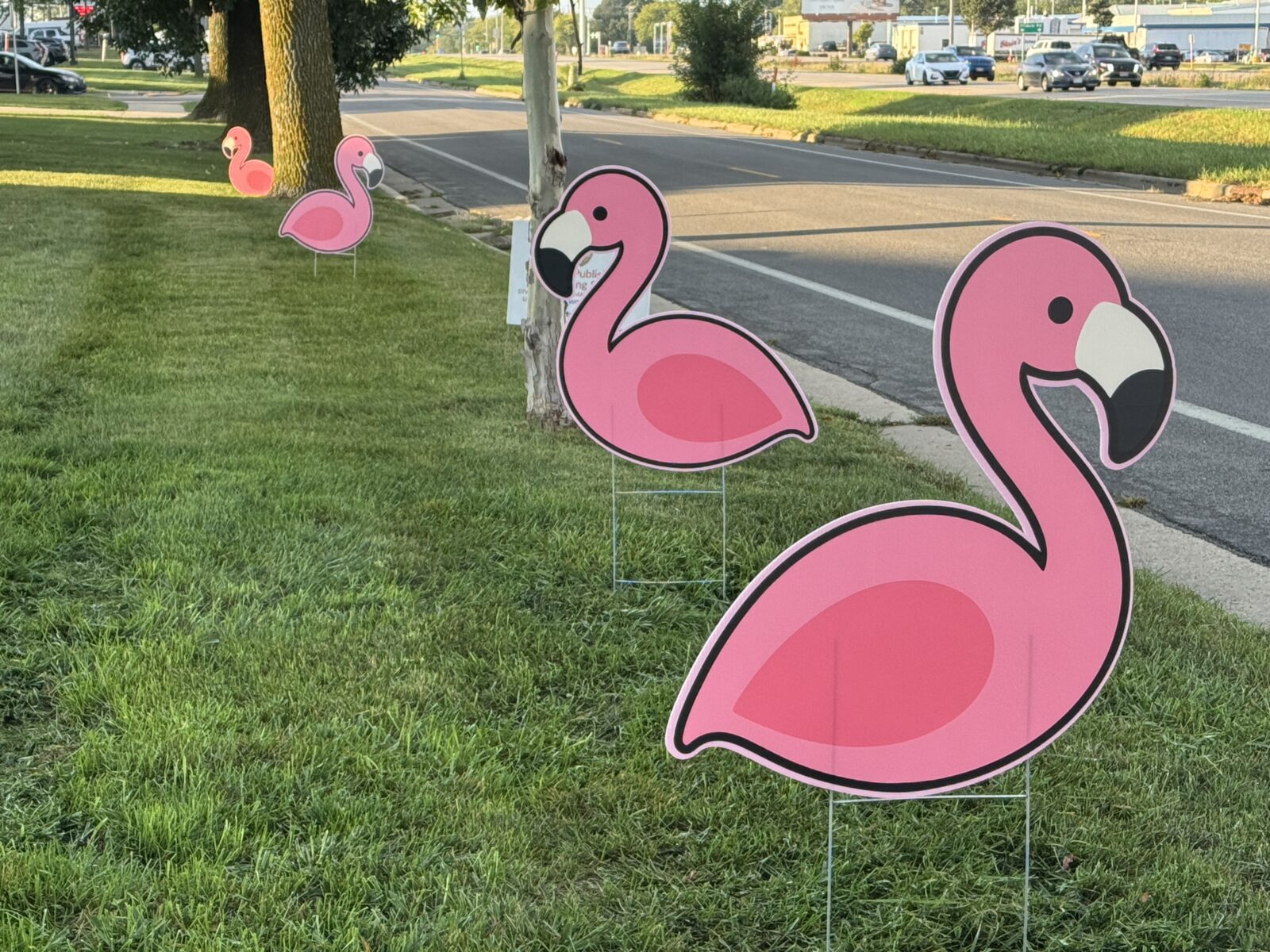 Digital Publishing & Printing Services front lawn, with a row of Coroplast flamingos in the grass.