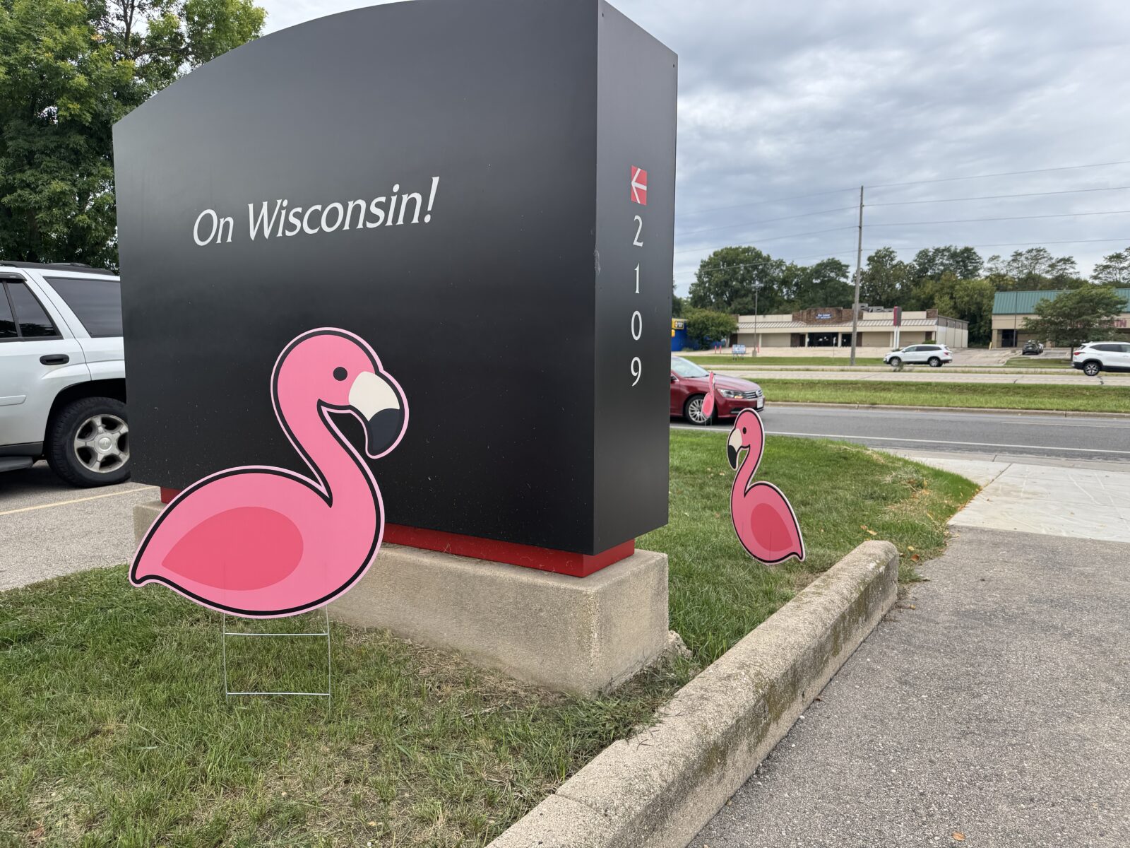 Digital Publishing & Printing Services sign in front of their building, with two Coroplast flamingos in the grass.