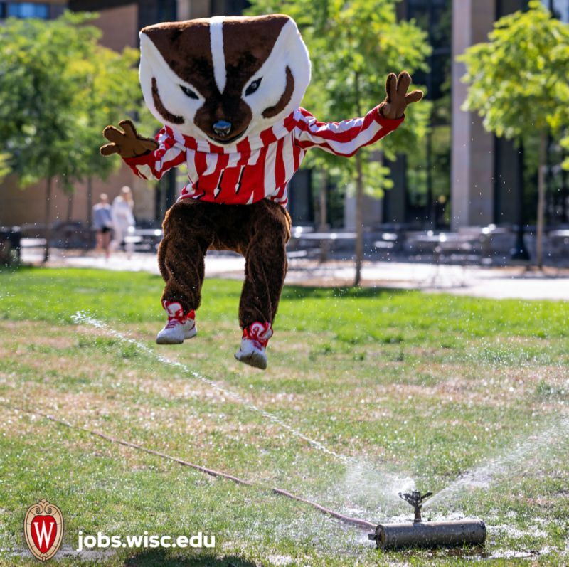Bucky Badger jumping over a sprinkler in a grassy area outside of Gordon Commons. 